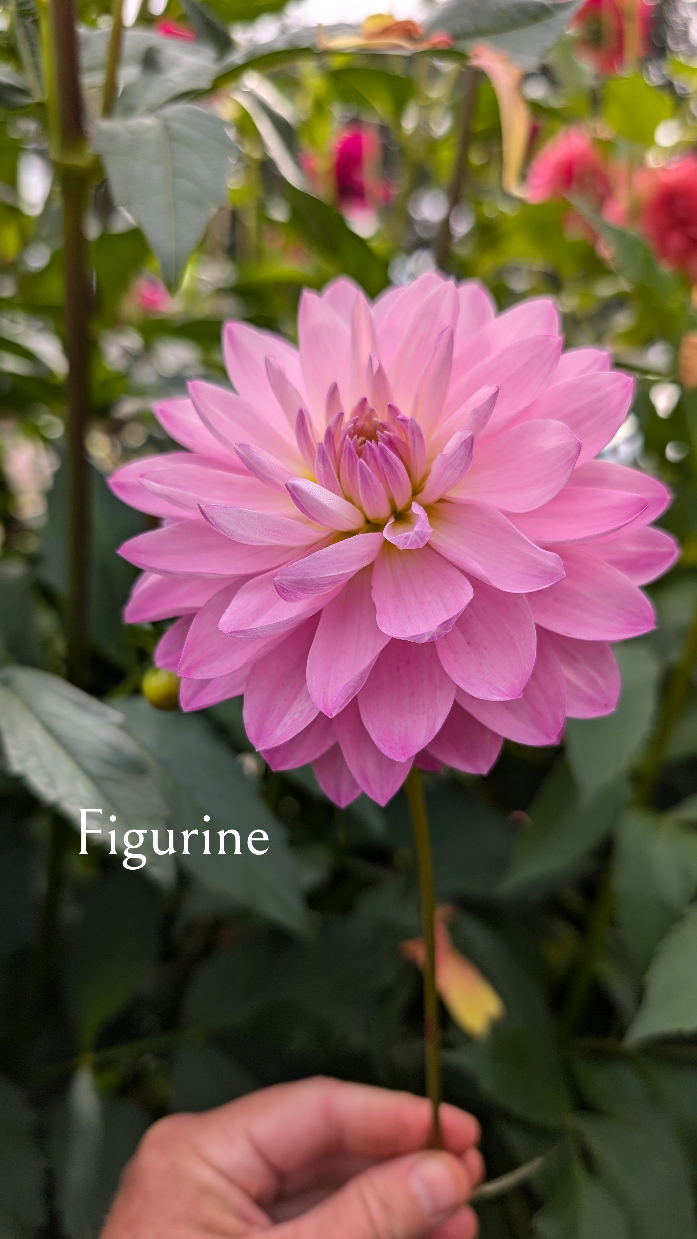 Figurine